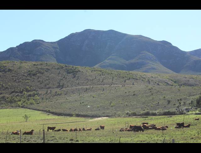 118HA FARM FOR SALE IN GREYTON